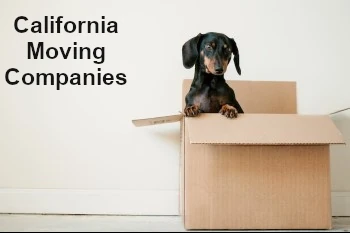 California Moving Companies